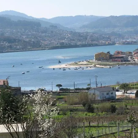 Restaurante Tulipanes *